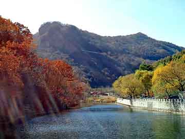 新澳天天开好彩资料大全，山东龙口海景房骗局